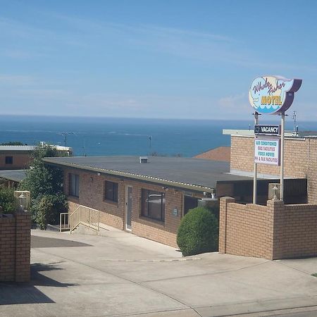 Whale Fisher Motel エデン エクステリア 写真